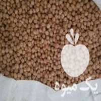 قیمت خرید نخود بذری دیم کرمانشاهی در گروه خرید فروش بذر - انواع محصول کشاورزی گوجه کتان میوه درخت در یکمیوه