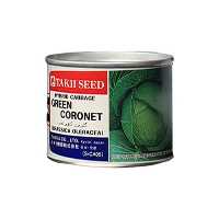 قیمت خرید بذر کلم پیچ هیبرید گرین کورنت تاکی در تهران در گروه خرید فروش بذر - انواع محصول کشاورزی گوجه کتان میوه درخت در یکمیوه