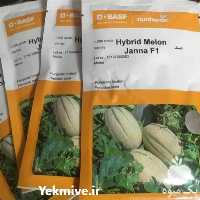 فروش بذر خربزه جانان در زنجان در گروه خرید فروش بذر - انواع محصول کشاورزی گوجه کتان میوه درخت در یکمیوه