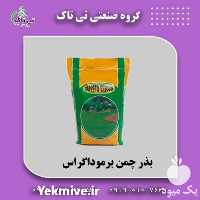قیمت خرید خرید بذر چمن برموداگراس در قزوین در گروه خرید فروش بذر - انواع محصول کشاورزی گوجه کتان میوه درخت در یکمیوه