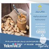 فروش عمده بادام زمینی مخصوص کره و کره بادام زمینی در گروه بادام - درختی کوهی زمینی فروش عمده در یکمیوه