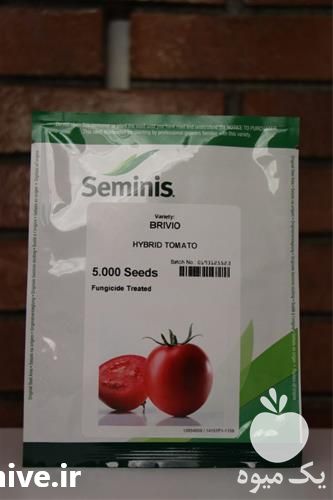 قیمت خرید بذر گوجه بریویو سیمینس در فارس در گروه خرید فروش بذر - انواع محصول کشاورزی گوجه کتان میوه درخت در یکمیوه -عکس1