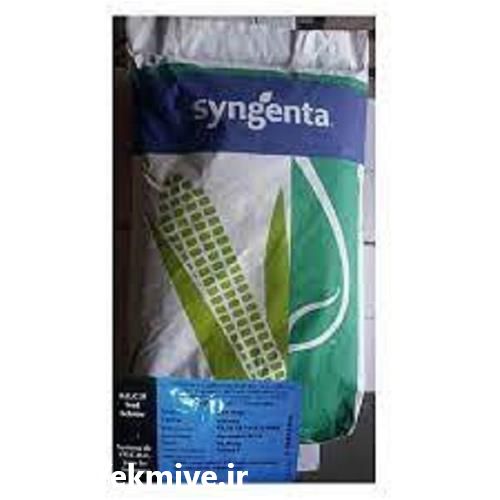 قیمت خرید بذر ذرت دراخما در کرمانشاه در گروه خرید فروش بذر - انواع محصول کشاورزی گوجه کتان میوه درخت در یکمیوه -عکس1