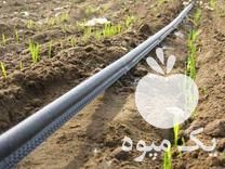 تولید و فروش نوار تیپ و لوله پلی اتیلن آبیاری کشاورزی در زنجان در گروه خرید فروش اتصالات و تجهیزات آبیاری - شیر لوله نوار در یکمیوه -عکس1