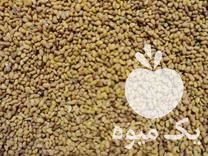 قیمت خرید تخم علف محلی در گروه خرید فروش بذر - انواع محصول کشاورزی گوجه کتان میوه درخت در یکمیوه -عکس1