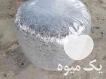 قیمت خرید ذرت علوفه ای بسته بندی شده در قوچان در گروه خوراک دام و طیور - پرواری شیری علوفه یونجه در یکمیوه -عکس1