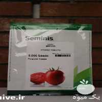 قیمت خرید بذر گوجه بریویو سیمینس در فارس در گروه خرید فروش بذر - انواع محصول کشاورزی گوجه کتان میوه درخت در یکمیوه
