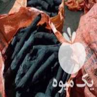 قیمت خرید ذغال کبابی سیب در اردبیل در گروه خرید فروش عمده چوب و زغال- زغال چوب گردو تبریزی خام در یکمیوه