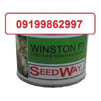 قیمت خرید قیمت بذر هندوانه وینستون کشت در هوای آزاد در گروه خرید فروش عمده قارچ - دکمه ای خوراکی دارویی پرورشی کوهی در یکمیوه