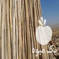 فروش چوب تیرچوب نجاری در گروه خرید فروش عمده چوب و زغال- زغال چوب گردو تبریزی خام در یکمیوه