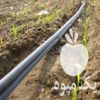 تولید و فروش نوار تیپ و لوله پلی اتیلن آبیاری کشاورزی در زنجان در گروه خرید فروش اتصالات و تجهیزات آبیاری - شیر لوله نوار در یکمیوه