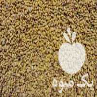 قیمت خرید تخم علف محلی در گروه خرید فروش بذر - انواع محصول کشاورزی گوجه کتان میوه درخت در یکمیوه