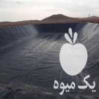 فروش پوشش دهی به استخرهای خاکی برای ذخیره کردن آب در گروه خرید فروش انواع پوشش ها و ورق ها - پلی استر پلی کربنات نایلون در یکمیوه