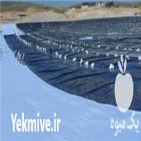فروش نصب ورق ژئوممبران و تکستایل در سراسر ایران با ١٤ سال سابقه در اصفهان در گروه خرید فروش انواع پوشش ها و ورق ها - پلی استر پلی کربنات نایلون در یکمیوه