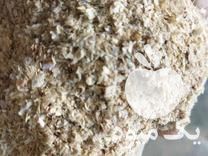 فروش نهاده دامپروری در گروه نهاده ها دام و طیور در یکمیوه -عکس1