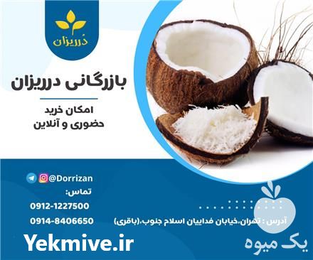 فروش عمده پودر نارگیل چرب در تهران در گروه ادویه - ترشی کاری ادویه جات خشک در یکمیوه -عکس1