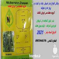 قیمت خرید بذر خیار گلخانه ای کیهان 2021 در گروه خرید فروش بذر - انواع محصول کشاورزی گوجه کتان میوه درخت در یکمیوه