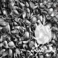 فروش زغال پوست پسته و دستگاه زغال ساز سیار در ساری در گروه خرید فروش عمده چوب و زغال- زغال چوب گردو تبریزی خام در یکمیوه