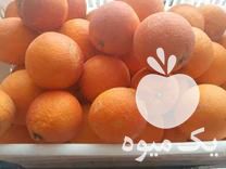 پرتقال خونی و تامسون در گروه خرید فروش عمده پرتقال - پرتقال رسمی تامسون خونی جنوب در یکمیوه -عکس1