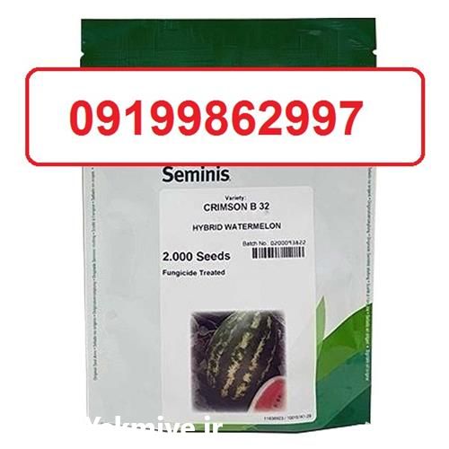 فروش سراسری بذر هندوانه بی 32 با باردهی بالا در همدان در گروه خرید فروش بذر - انواع محصول کشاورزی گوجه کتان میوه درخت در یکمیوه -عکس1