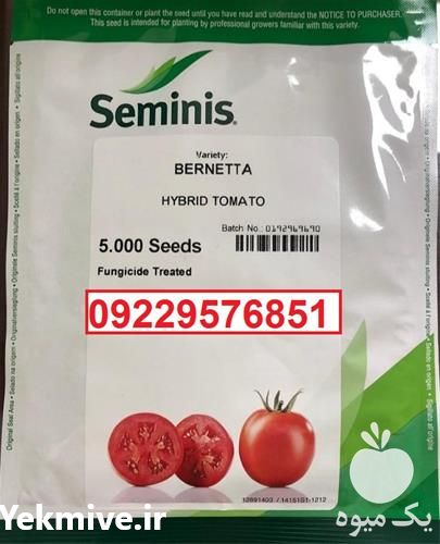 فروش انواع بذر گوجه فرنگی برنتا در تهران در گروه خرید فروش بذر - انواع محصول کشاورزی گوجه کتان میوه درخت در یکمیوه -عکس1