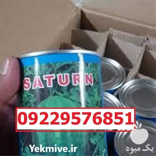 سفارش بذر هندوانه میکادو پرفروش اصل در قزوین در گروه خرید فروش بذر - انواع محصول کشاورزی گوجه کتان میوه درخت در یکمیوه -عکس1