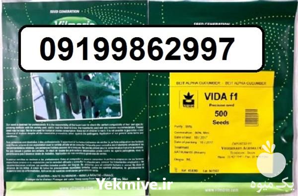 فروش بذر خیار ویدا در گروه خرید فروش بذر - انواع محصول کشاورزی گوجه کتان میوه درخت در یکمیوه -عکس1