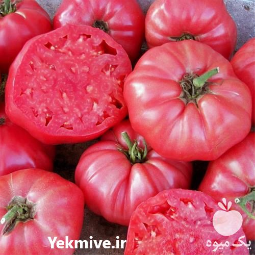 قیمت فروش بذر گوجه بیف در زنجان در گروه خرید فروش بذر - انواع محصول کشاورزی گوجه کتان میوه درخت در یکمیوه -عکس1