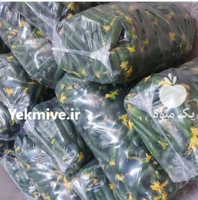 تولید کننده نایلون خیاری و هویجی در باقرشهر در گروه خرید فروش بسته بندی نایلونی - کیسه نایلکس مشما پلاستیک در یکمیوه -عکس1