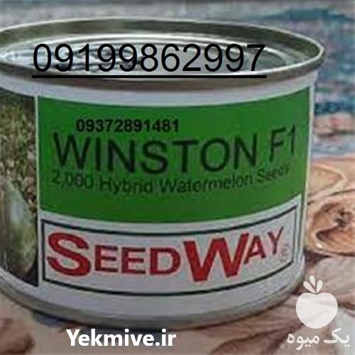 فروش بذر هندوانه زودرس وینستون در یزد در گروه خرید فروش بذر - انواع محصول کشاورزی گوجه کتان میوه درخت در یکمیوه -عکس1