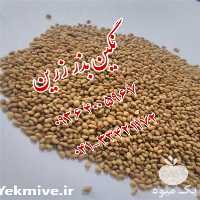 فروش بذر یونجه اصیل همدانی در ایلام در گروه خرید فروش بذر - انواع محصول کشاورزی گوجه کتان میوه درخت در یکمیوه