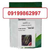 فروش سراسری بذر هندوانه بی 32 با باردهی بالا در همدان در گروه خرید فروش بذر - انواع محصول کشاورزی گوجه کتان میوه درخت در یکمیوه