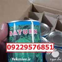 سفارش بذر هندوانه میکادو پرفروش اصل در قزوین در گروه خرید فروش بذر - انواع محصول کشاورزی گوجه کتان میوه درخت در یکمیوه