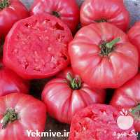 قیمت فروش بذر گوجه بیف در زنجان در گروه خرید فروش بذر - انواع محصول کشاورزی گوجه کتان میوه درخت در یکمیوه