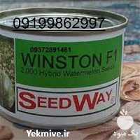 فروش بذر هندوانه زودرس وینستون در یزد در گروه خرید فروش بذر - انواع محصول کشاورزی گوجه کتان میوه درخت در یکمیوه