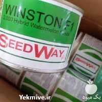 فروش بذر هندوانه وینستون با قیمت عالی در گروه خرید فروش بذر - انواع محصول کشاورزی گوجه کتان میوه درخت در یکمیوه