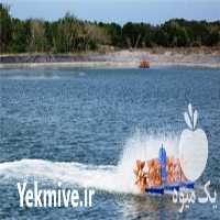 قیمت خرید انواع هواده پدل ویل ارزان قیمت در گروه تجهیزات ماهی - خرید و فروش محصولات در یکمیوه