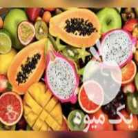 قیمت خرید نهال کیوی بلوبری آواکادو گلابی تو سرخ در آبسرد در گروه خرید فروش نهال - انواع گردو پسته بادام سلطانی انگور در یکمیوه