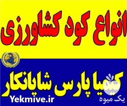 قیمت خرید کود و سولفات کشاورزی در تهران در گروه خرید فروش کود و مواد شیمیایی - اوره پتاس مرغی کمپوست آهن در یکمیوه -عکس1