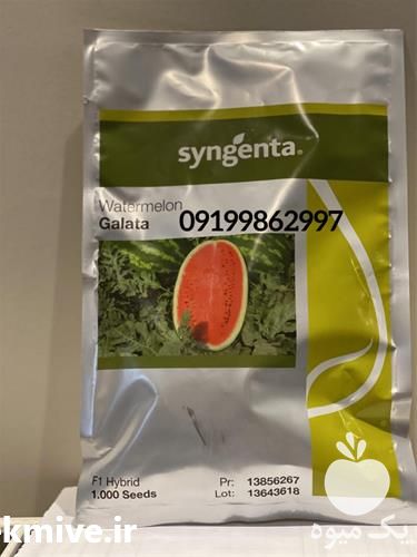 فروش بذر هندوانه گالاتا در گروه خرید فروش بذر - انواع محصول کشاورزی گوجه کتان میوه درخت در یکمیوه -عکس1