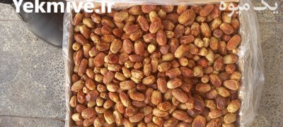 فروش ضایعات خرما زاهدی درجه یک در گروه خرید فروش عمده خرما - کبکاب تازه زاهدی خشک خارک در یکمیوه -عکس2