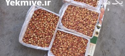 فروش ضایعات خرما زاهدی درجه یک در گروه خرید فروش عمده خرما - کبکاب تازه زاهدی خشک خارک در یکمیوه -عکس5