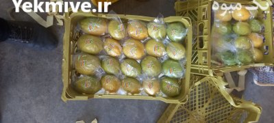 فروش لیمو شیرین درجه یک در گروه خرید فروش عمده لیمو شیرین - شمال شیراز جهرم سنگی در یکمیوه -عکس3