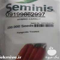 قیمت خرید بذر هویج کارورا در همدان در گروه خرید فروش بذر - انواع محصول کشاورزی گوجه کتان میوه درخت در یکمیوه