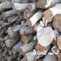 خریدار انواع چوب ضایعات در مراغه در گروه خرید فروش عمده چوب و زغال- زغال چوب گردو تبریزی خام در یکمیوه