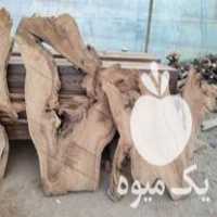 قیمت خرید انواع چوب خام به صورت عمده در تهران در گروه خرید فروش عمده چوب و زغال- زغال چوب گردو تبریزی خام در یکمیوه