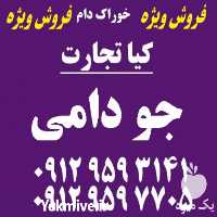 فروش جو وارداتی و داخلی در تهران در گروه خرید فروش عمده گندم و جو - بلغور شیرازی فروش عمده محصول کشاورزی در یکمیوه