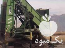 فروش بارکن چغندر در کرمانشاه در گروه خرید فروش عمده چغندر - قند لبویی قرمز سفید در یکمیوه -عکس1