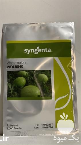 فروش بذر هندوانه سینجنتا 8040 در گروه خرید فروش بذر - انواع محصول کشاورزی گوجه کتان میوه درخت در یکمیوه -عکس1