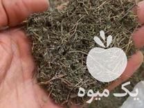 قیمت خرید خشکبار نشا قلمه گیاهان دارویی و بذر در بهشهر در گروه خرید فروش عمده گیاهان دارویی - معطر خشک خواص دار در یکمیوه -عکس1